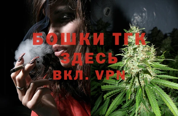 apvp Гусев