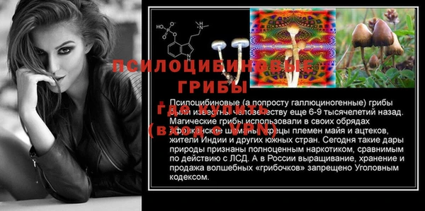 apvp Гусев