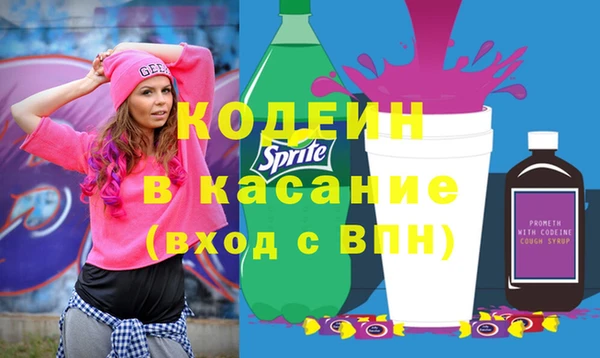 apvp Гусев