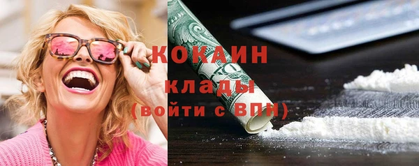 apvp Гусев