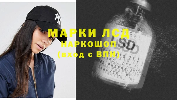 apvp Гусев